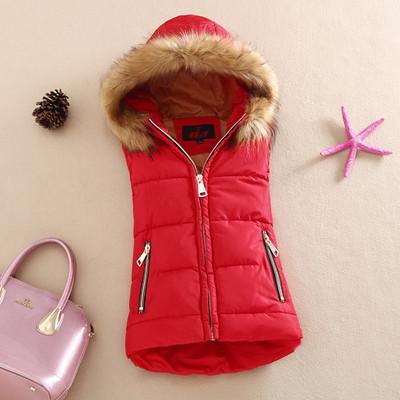 Autumn And Winter 2017 Cotton Vest With A Hood