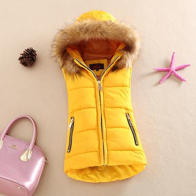 Autumn And Winter 2017 Cotton Vest With A Hood