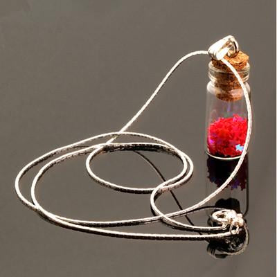 Cute Glass Wishing Bottle Pendant - Rushy