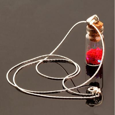 Cute Glass Wishing Bottle Pendant - Rushy