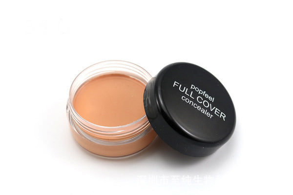 5 Color Hide Blemish Face Eye Lip Creamy Concealer